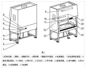 鋼鐵貝貝A2型生物安全柜 博科廠家推薦的環保設備設計解析